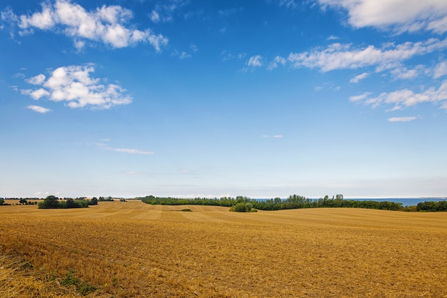 El silaje para pasturas y cosas a tener en cuenta